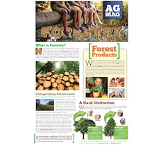 Forestry Ag Mag
